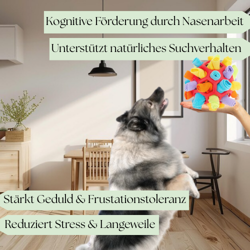 Schnüffelball - Interaktives Leckerli Spielzeug