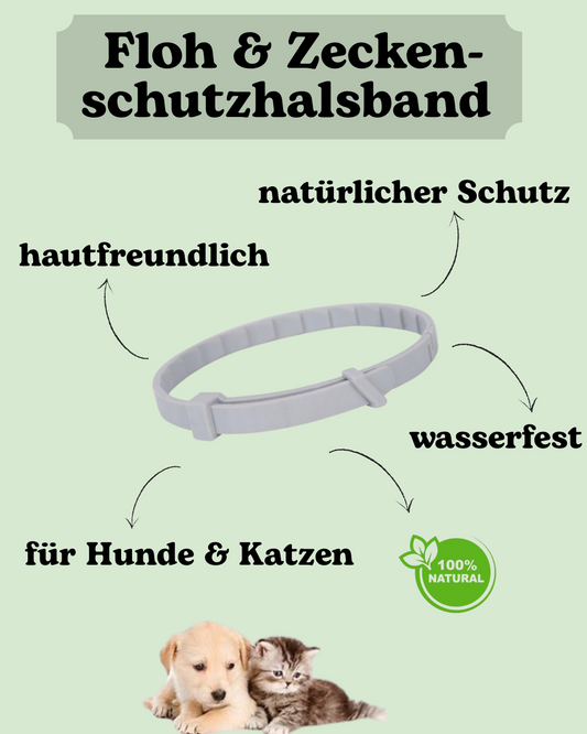Floh- & Zeckenschutz-Halsband: Der natürliche Rundumschutz