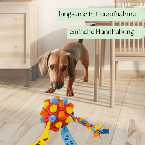 Schnüffelball - Interaktives Leckerli Spielzeug