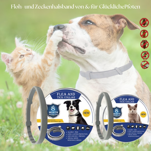Floh- & Zeckenschutz-Halsband: Der natürliche Rundumschutz