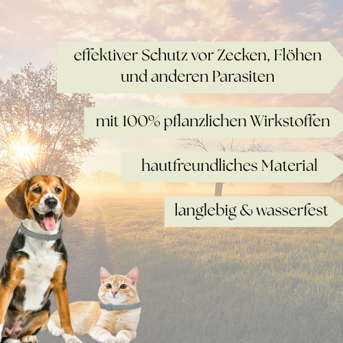 Floh- & Zeckenschutz-Halsband: Der natürliche Rundumschutz