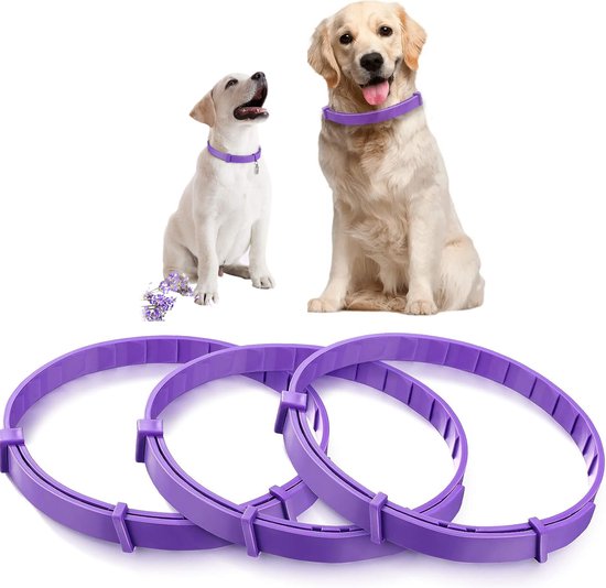 Floh- & Zeckenschutz-Halsband: Der natürliche Rundumschutz