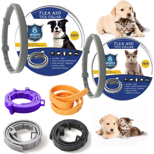 Floh- & Zeckenschutz-Halsband: Der natürliche Rundumschutz